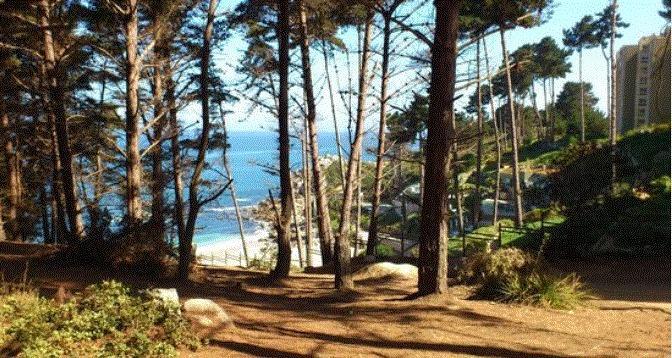 Departamento Algarrobo Condominio Laguna المظهر الخارجي الصورة